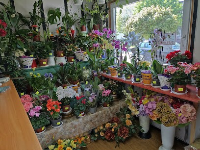 Kwiaciarnia Katarzynka, Kwiaciarnia w Kozienice