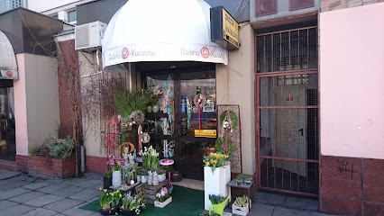 Galeria Kwiatów, Kwiaciarnia w Opole
