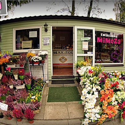 Kwiaciarnia Mimoza Kluczbork, Kwiaciarnia w Kluczbork