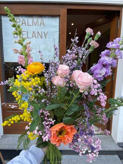 PALMA BIELANY, Kwiaciarnia w Warszawa
