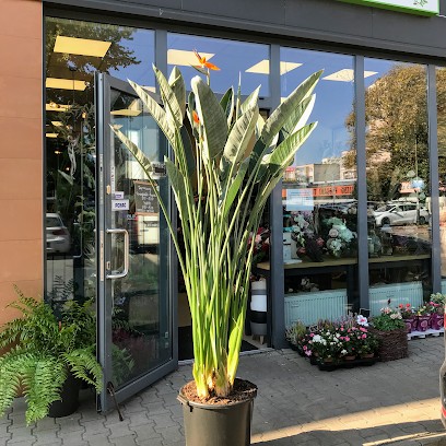 Kwiaciarnia CudaWianki Łódź, Kwiaciarnia w Łódź