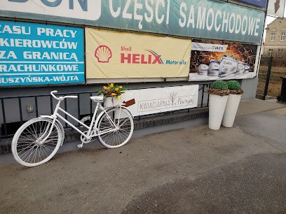 Kwiaciarnia w Piwnicy, Kwiaciarnia w Gostyń