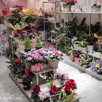 Kwiaciarnia Róża Anna Trzcińska, Kwiaciarnia w Malbork