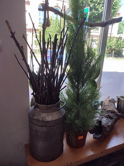 Kwiaciarnia Rzymianka Bukiety Wieńce Kwiaty, Kwiaciarnia w Człuchów