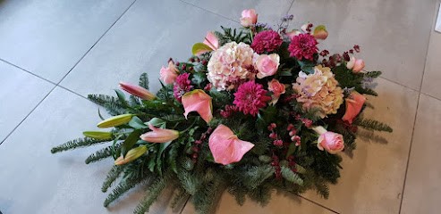 Kamelia. Kwiaciarnia Poczta Kwiatowa Żary, Kwiaciarnia w Żary