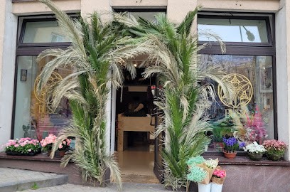Busz Kwiaciarnia Autorska, Kwiaciarnia w Warszawa