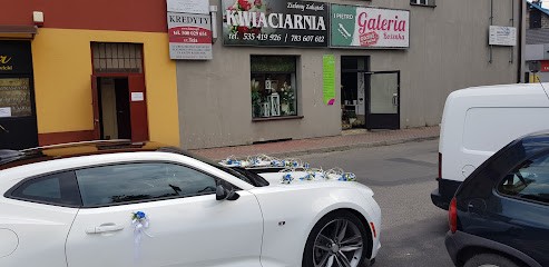 Green Corner Florist, Kwiaciarnia w Brzesko