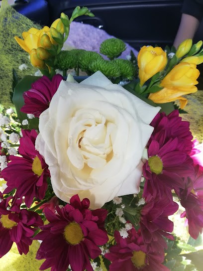 Kwiaciarnia Bukietowa Sadalsuud Sp. Z O.o., Kwiaciarnia w Kobylanka