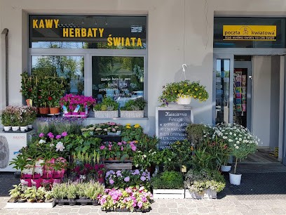 Finezja, Kwiaciarnia w Warszawa