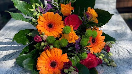 Kwiaty na telefon Strelicja, Kwiaciarnia w Wrocław