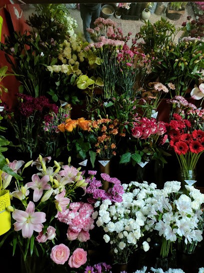 Marek Modrzewski Firma Handlowa Irysek ul.Nidzicka 3a 13-200 Działdowo, Kwiaciarnia w Działdowo