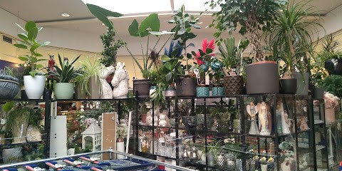 Kwiaciarnia Kozacka., Kwiaciarnia w Toruń