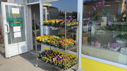 Kwiaciarnia Cielejewski Plewiska, Kwiaciarnia w Plewiska