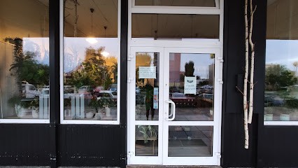 Kwiaciarnia Cereus, Kwiaciarnia w Gorzów Wielkopolski