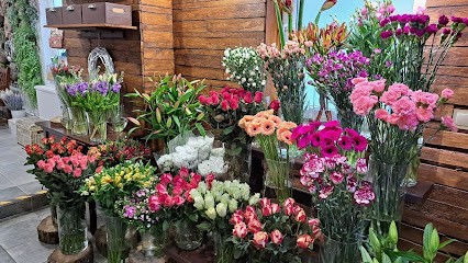Kwiaciarnia Natalia, Kwiaciarnia w Kostrzyn