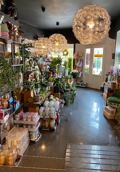 BK Krężałek-Bukiety Kwiaciarnia Pączek Róży, Kwiaciarnia w Wrocław