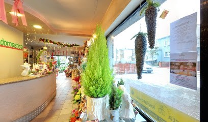 Florist DOMESTICA Krotoszyn, Kwiaciarnia w Krotoszyn