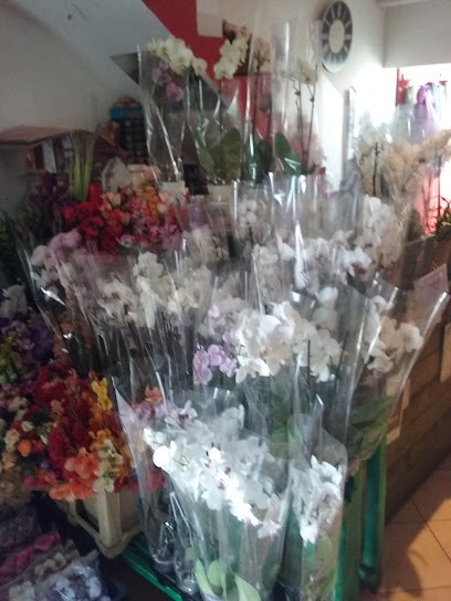 Friga. Kwiaciarnia, Kwiaciarnia w Zawiercie