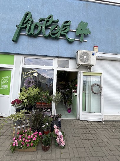 Fiołek Kwiaciarnia, Kwiaciarnia w Poznań