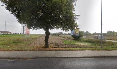 Ticomax Hobbensiefken Małgorzata, Kwiaciarnia w Konin