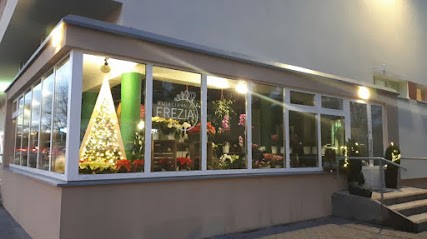 Kwiaciarnia Frezja Poznań, Kwiaciarnia w Poznań