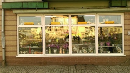 Goździk. Kwiaciarnia, Kwiaciarnia w Ciechanów