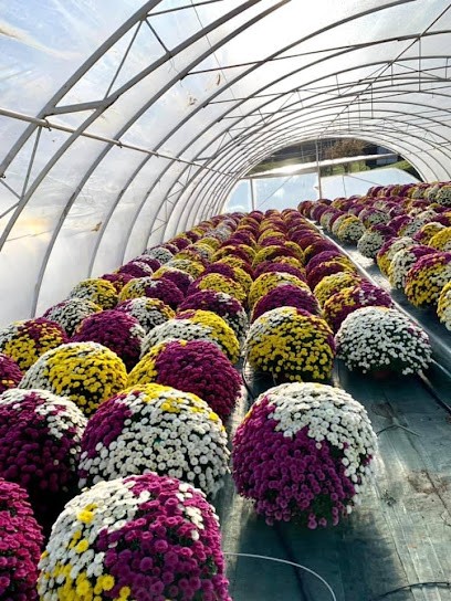 Gospodarstwo Ogrodnicze Janas Kwiaty, Kwiaciarnia w Laskowa