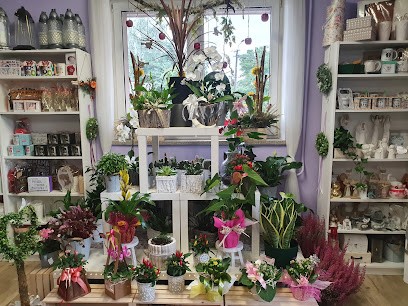 Lawendowa, Kwiaciarnia w Ligota