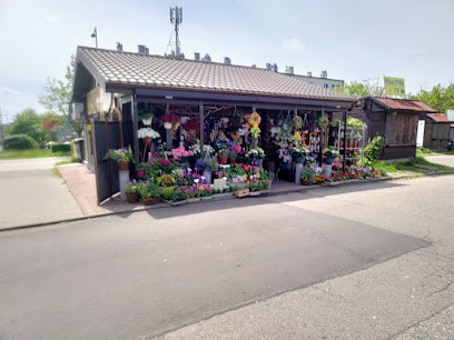 Ismena. Kwiaciarnia, Kwiaciarnia w Zabrze