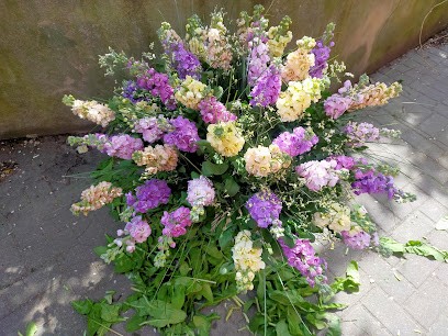 Kwiaciarnia Domaschke, Kwiaciarnia w Stężyca