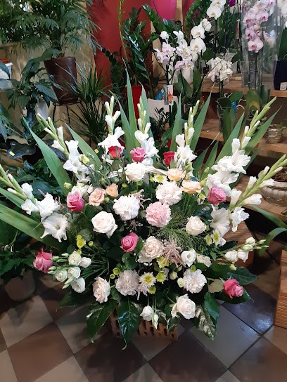 Bukieciarnia, Kwiaciarnia w Zambrów