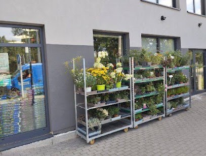 Kwiaciarnia Trefniś Górka T, Kwiaciarnia w Sosnówiec