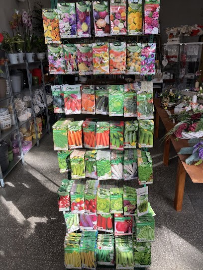 Kwiaciarnia Dalia, Kwiaciarnia w Ryczywół