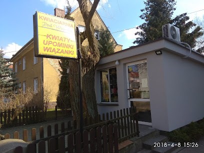 Pod Wierzbą, Kwiaciarnia w Trzcianka