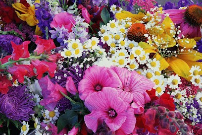 Kwiaciarnia - Alicja Bryła, Kwiaciarnia w Sandomierz