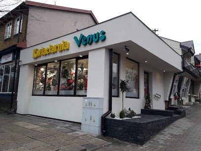 Kwiaciarnia Venus, Kwiaciarnia w Sokółka