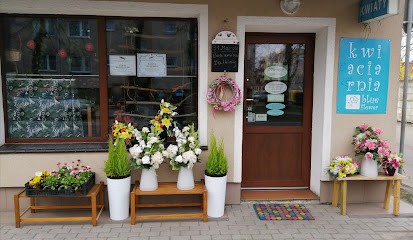 Kwiaciarnia Blue Flower, Kwiaciarnia w Kościan