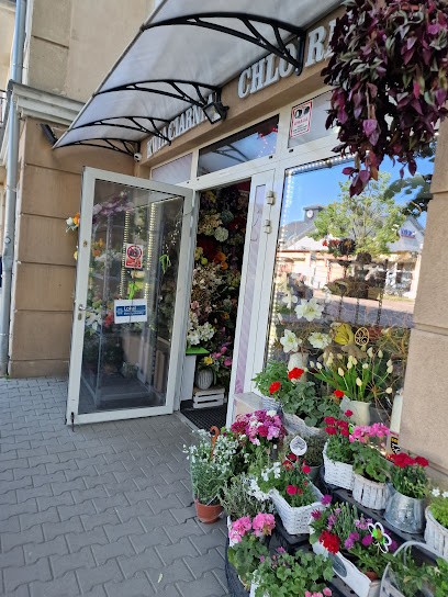 Kwiaciarnia Chloris Wioletta Juszczak, Kwiaciarnia w Wrocław