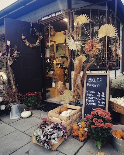 Kasiawlesie, Kwiaciarnia w Łódź