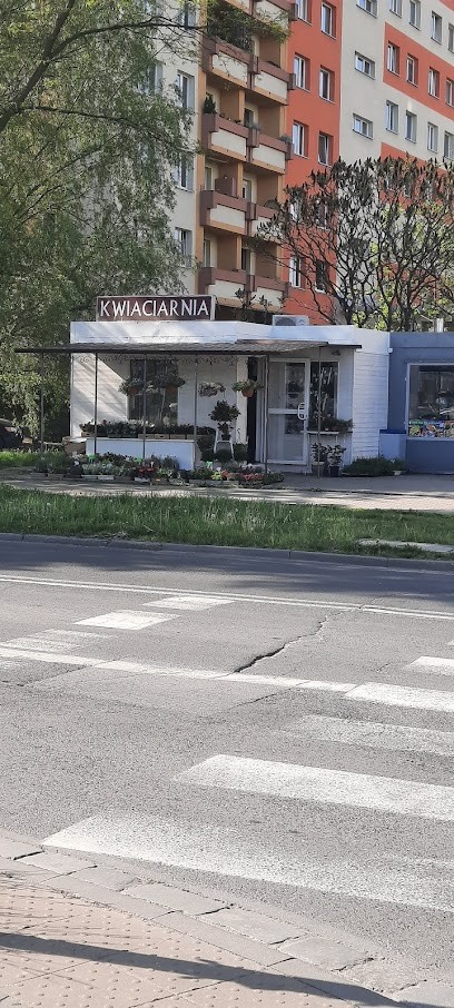 Spakowana w kwiaty, Kwiaciarnia w Wrocław