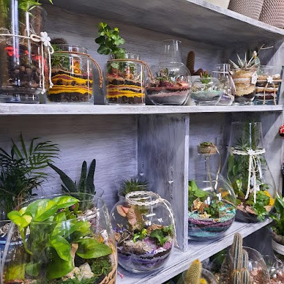 Badylarnia - kwiaciarnia, Kwiaciarnia w Wiśniowa