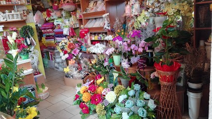 F.U.H. Majka, Kwiaciarnia w Łużna