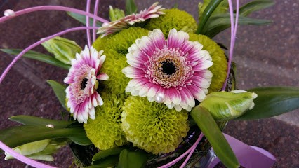 Kwiaciarnia Poppy Flowers, Kwiaciarnia w Biała Podlaska