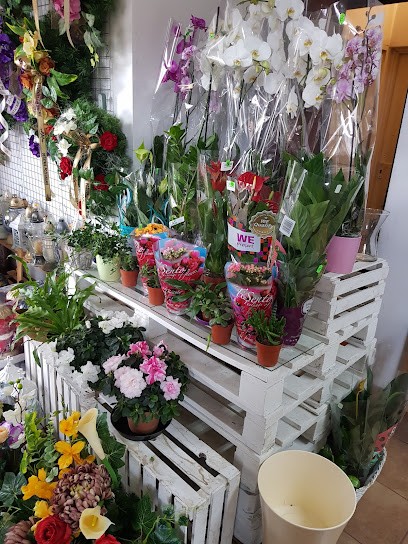 Meta-flora Kwiaciarnia, Kwiaciarnia w Baboszewo