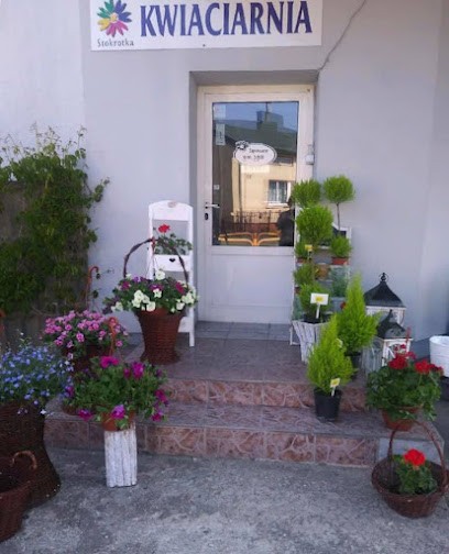 Kwiaciarnia Stokrotka, Kwiaciarnia w Szczerców