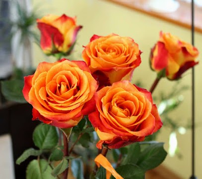 Niezapominajka. Kwiaciarnia, Kwiaciarnia w Słupsk