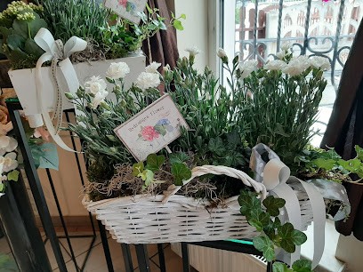 Orchidea - Bańczyk Izabela, Kwiaciarnia w Godów