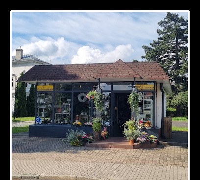 Kwiaciarnia KWIATY ZIELONE KLIMATY Małgorzata Stawiarz, Kwiaciarnia w Bielawa