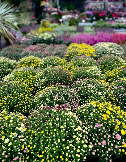 Kwiaciarnia Goździk, Kwiaciarnia w Bytów