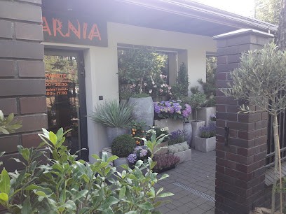 Badylarnia, KWIATY, Kwiaciarnia w Józefów